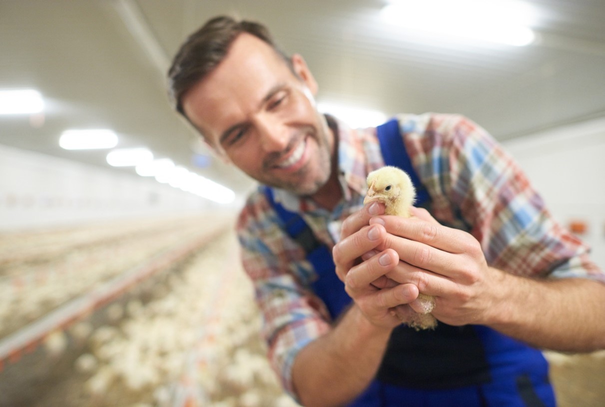 Cargill and Continental Grain Complete Acquisition of Sanderson Farms